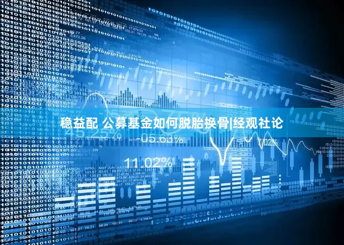 稳益配 公募基金如何脱胎换骨|经观社论